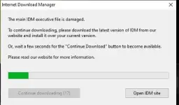 The main IDM executive file is damaged.pdf.webp