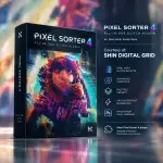 Pixel Sorter 4.webp