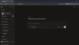 perplixity.webp