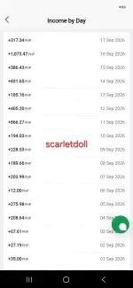 70991.webp
