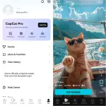 Capcut.webp