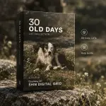 30 Old Days LUT.webp
