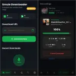 Downloader For Smule.webp