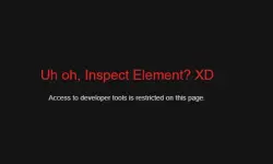 Capture.webp