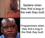 Find Bug in Web.webp