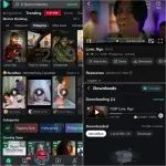 MovieBox.webp