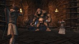 tlotr-war-in-the-north-legacy-edition-pc-screenshot-3.jpg