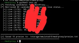 1000198263.webp 1000198263.webp
