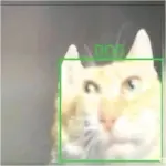 1000089975.webp