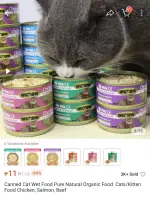 IMG_20260922_173341.webp