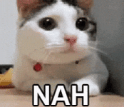 Cat Reaction GIF by MOODMAN Cat Reaction GIF by MOODMAN
