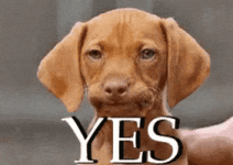 Yes It Is GIF Yes It Is GIF