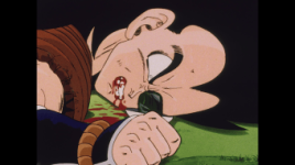 773888549_ddlbase-com_dragon-ball-z-s01e05-gohan-s-rage-1080p_001.png