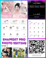 44862.webp 44862.webp