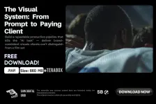 The Visual System.webp