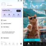 Capcut.webp