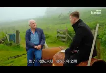 Screenshot_20260926_120350_Network Stream (Video) Player.webp