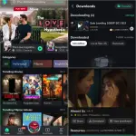 Moviebox.webp
