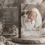 Baby Breath Lightroom.webp