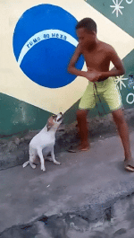 giphy (2).gif giphy (2).gif