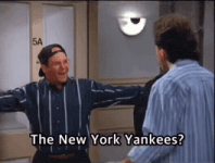 Excited New York Yankees GIF by the innernette