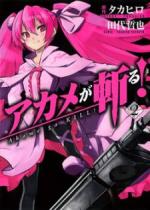 akame_ga_kiru.jpg