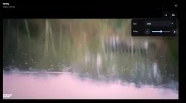 1791251008859.webp