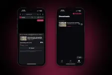 VidGrab-screenshot-2.webp VidGrab-screenshot-2.webp