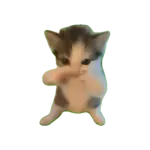 1791468418990.webp