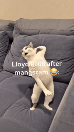 giphy.gif
