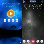 White Noise.webp