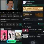 Moviebox.webp