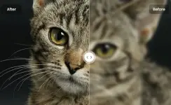 1791981687089.webp 1791981687089.webp