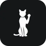 1000010377.webp 1000010377.webp