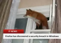 What the Fox.webp