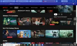 netflix 101.webp