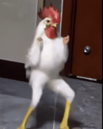 Dog Dancing GIF Dog Dancing GIF