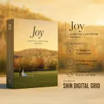 Joy Adaptive Presets.webp