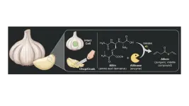 Bawang.webp Bawang.webp