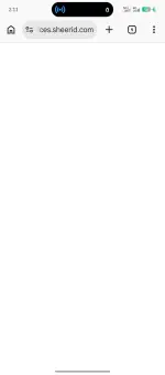 4098.webp