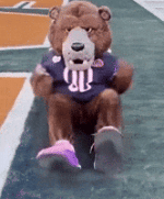 Chicago Bears Nfl GIF