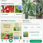 PictureThis - Plant Identifier.webp