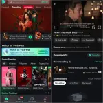 MovieBox.webp