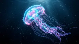 1000159529.webp 1000159529.webp