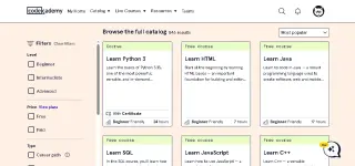 codecademyui.webp