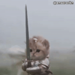 Cat GIF Cat GIF