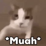 Kisses Love GIF Kisses Love GIF