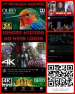 50914.webp 50914.webp