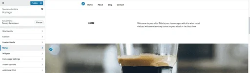 customizing-wordpress-theme.webp