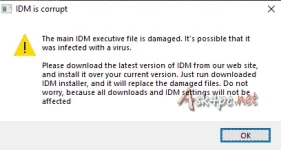 IDMcorruptPopupFIX.webp